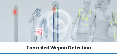 Conceiled Wepon Detection
